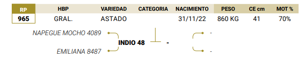 Lote LOTE 73