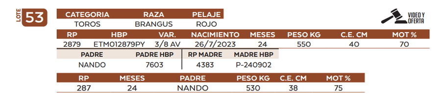 Lote LOTE 53