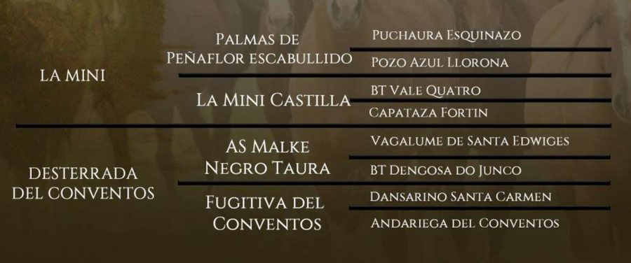 Lote Emigrante del Conventos