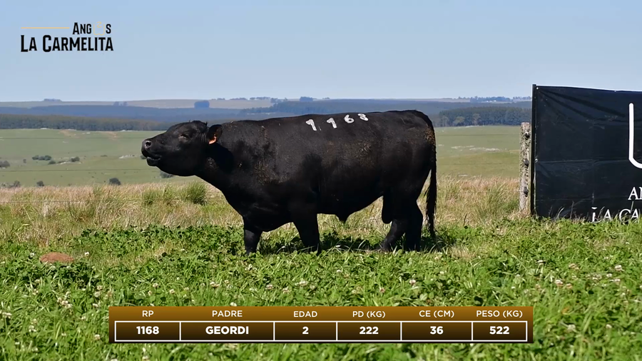 Lote RP 1168 - Angus La Carmelita