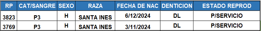 Lote LOTE 48