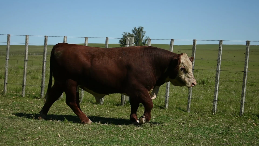 Lote "Valle Del Laurel" , RP 444