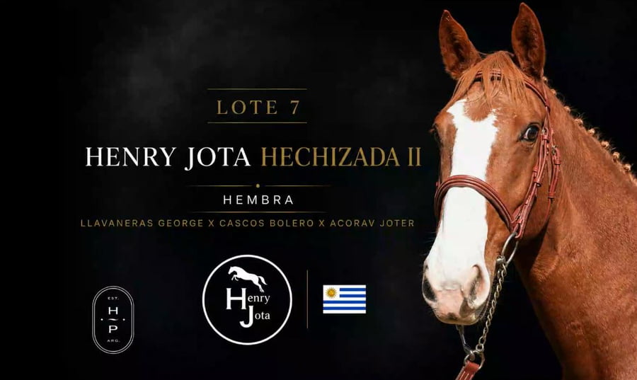 Lote HENRY JOTA HECHIZADA II