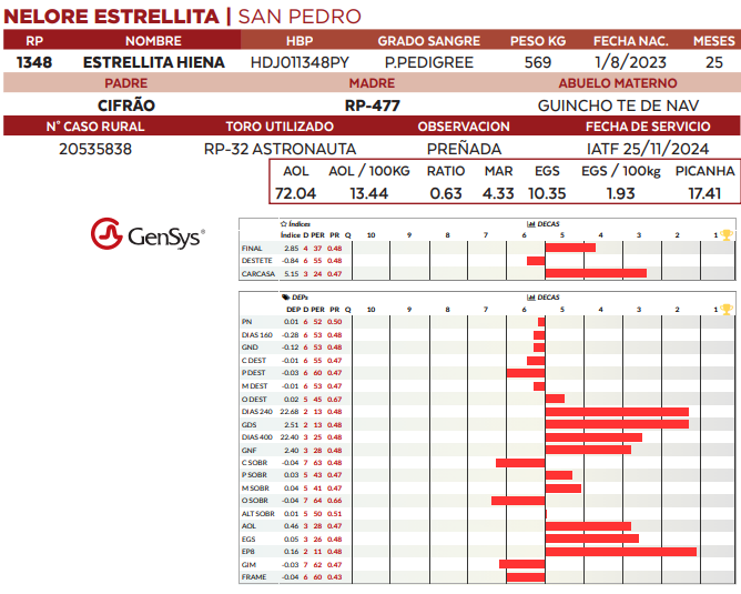 Lote LOTE 27