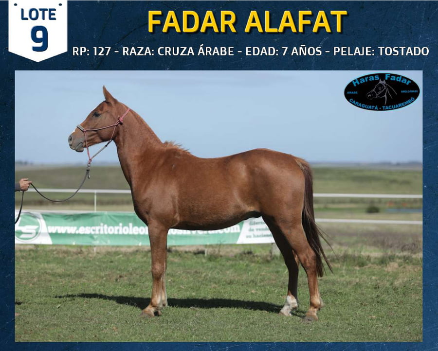 Lote FADAR ALAFAT
