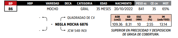 Lote LOTE 60