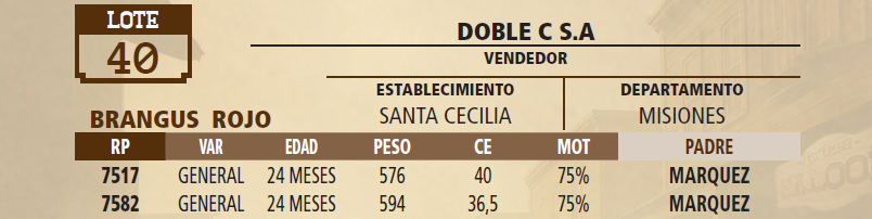 Lote LOTE 40 - VIVO