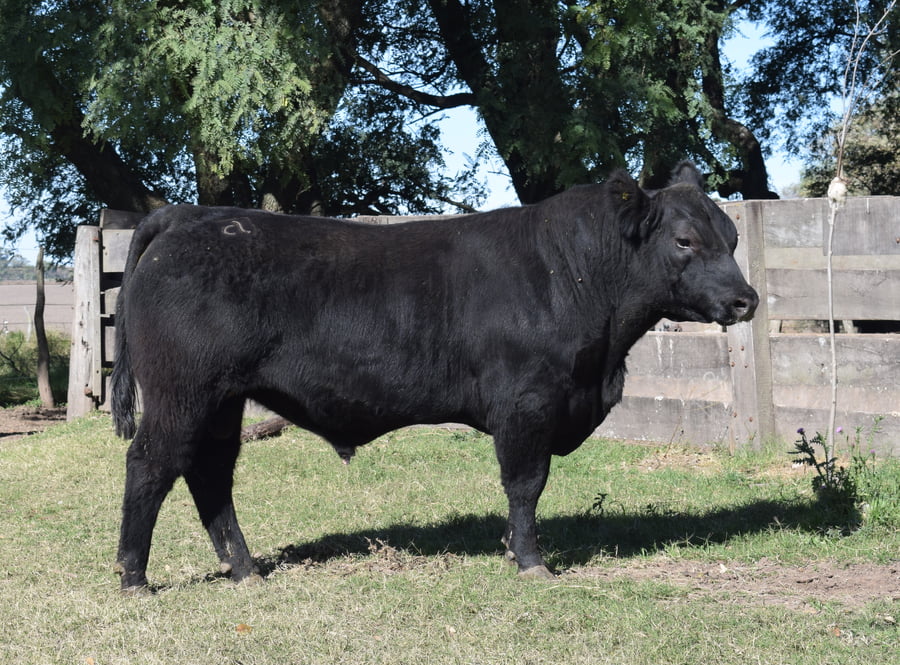 Lote CABAÑA “COEMBOTÁ” de Calderón RP 110