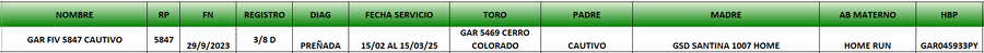 Lote LOTE 8