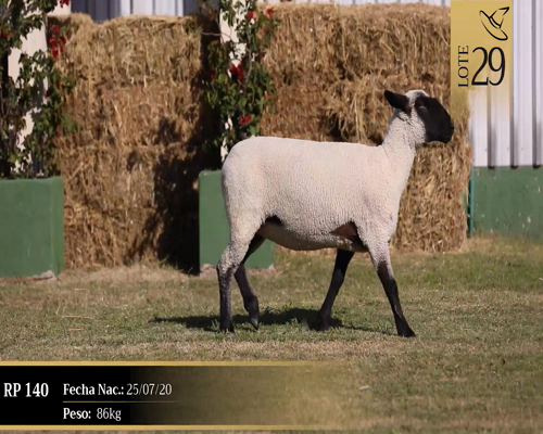 Lote Borregas a remate en Cabaña Las Brujas, San José