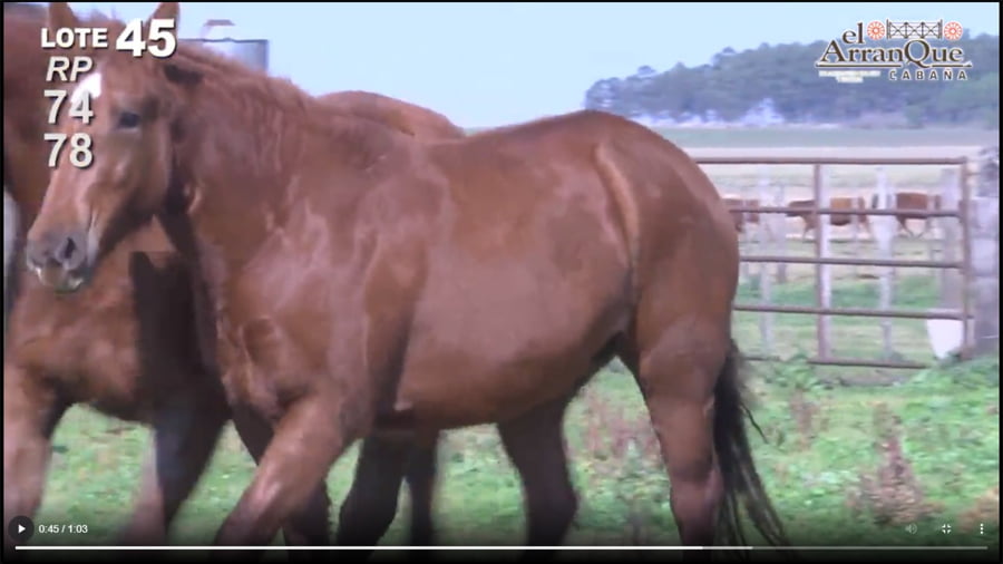 Lote 2 Potrancas Cuarto de MIlla - Santa Anita, Entre Rios
