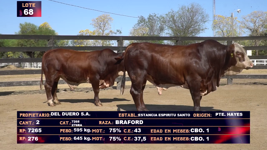Lote DEL DUERO SA   LOTE 68