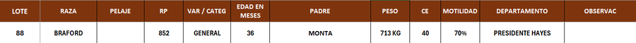 Lote LOTE 88