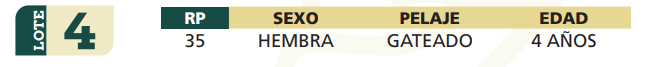 Lote LOTE 4