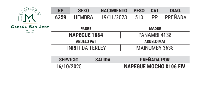 Lote LOTE 6