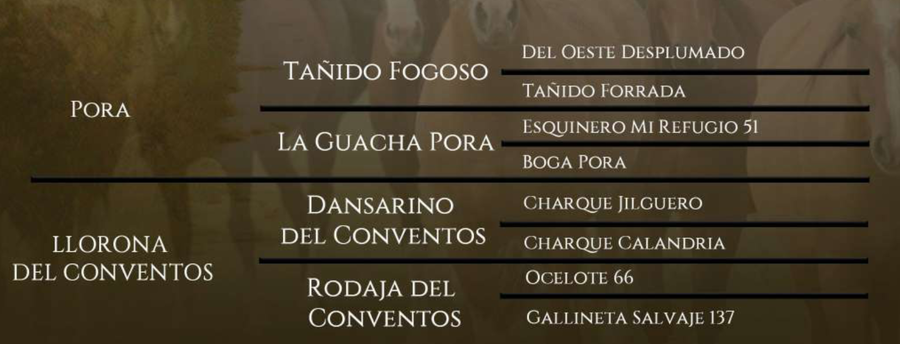 Lote Vichuca del Conventos