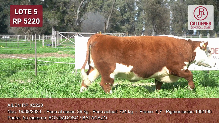 Lote Vaq PP Parida