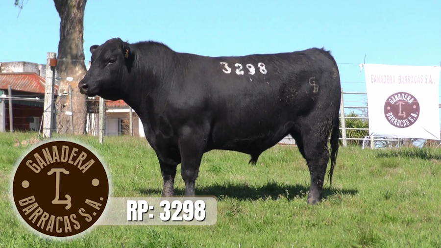 Lote (Vendido)Toros a remate en Ganadera Barracas S.A en Caraguata