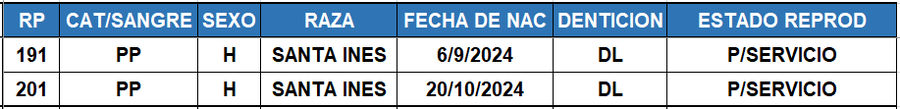Lote LOTE 26