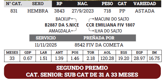 Lote LOTE 5 - BOZAL