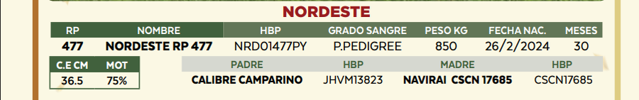 Lote LOTE 15