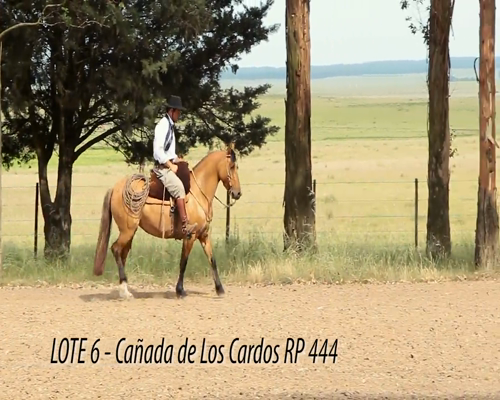 Lote CAÑADA DE LOS CARDOS