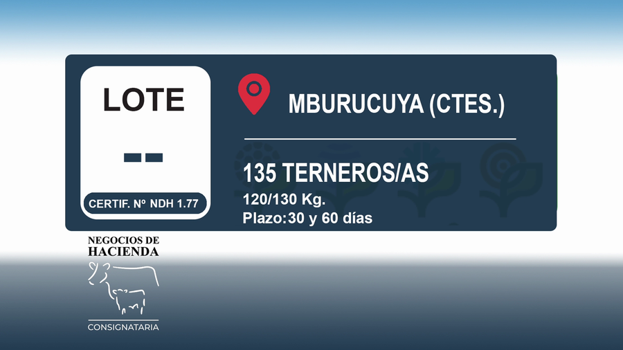 Lote 135 Terneros/as en Corrientes, Mburucuyá