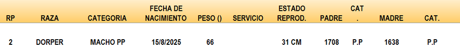 Lote LOTE 33