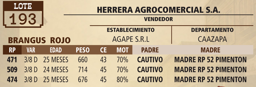 Lote LOTE 193 - VIVO