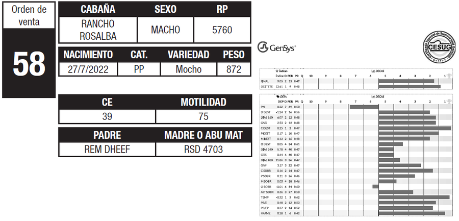 Lote LOTE 58