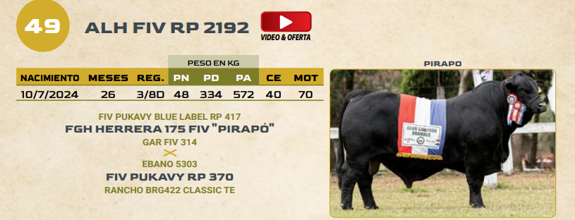 Lote LOTE 49
