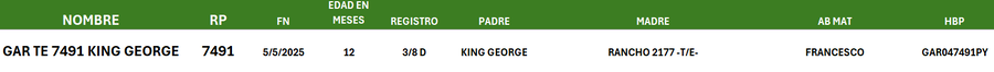 Lote LOTE 4