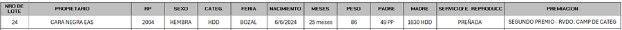 Lote LOTE 24 - BOZAL
