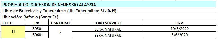 Lote 2 Vaquillonas en Rafaela, Santa Fe