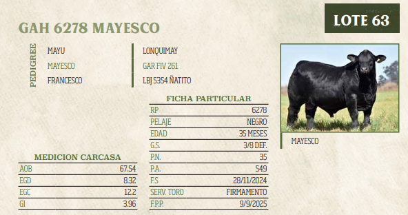 Lote LOTE 63
