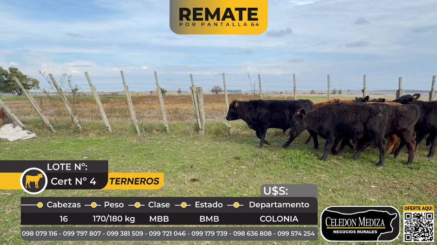 Lote 16 Terneros en ruta 54, Manantiales, Colonia