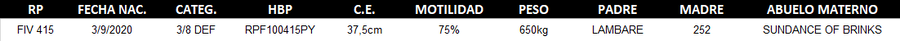 Lote LOTE 31