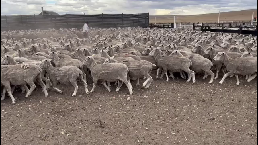 Lote BELLA VISTA SARA BRAUN