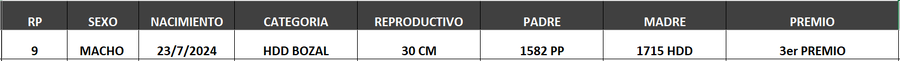 Lote LOTE 38- BOZAL