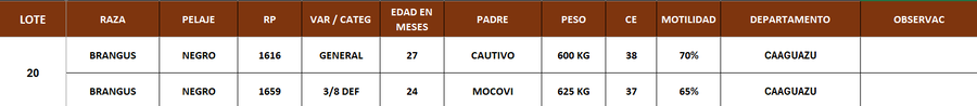 Lote LOTE 20