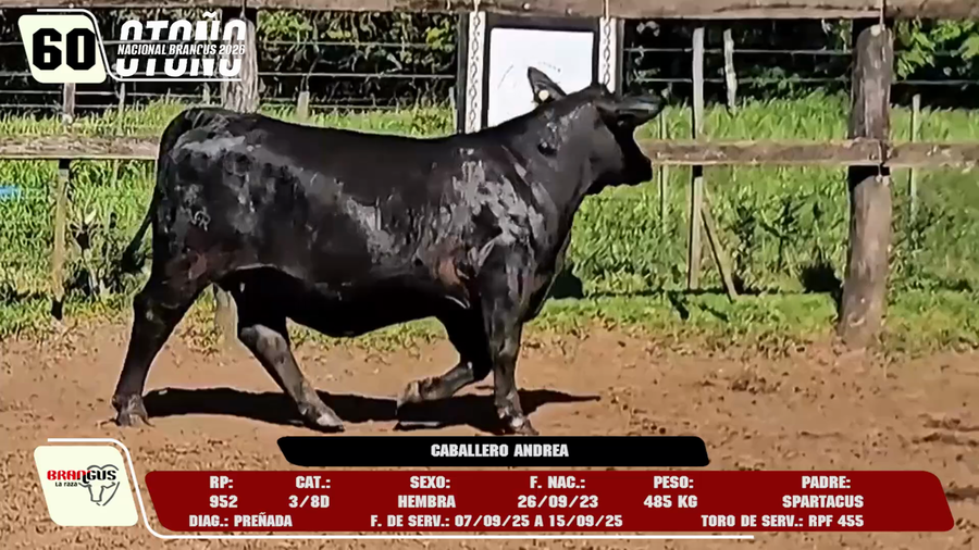 Lote LOTE 60 -DE CAMPO