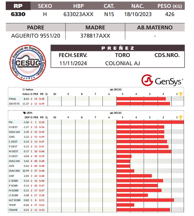Lote LOTE 11