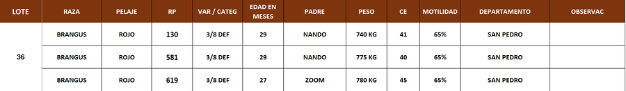 Lote LOTE 36