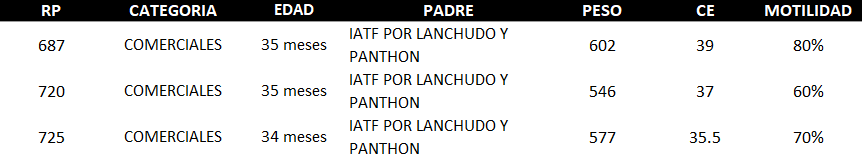 Lote AGROPECUARIA AMAMBAY LOTE 26