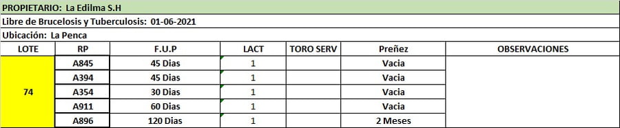 Lote Lote 74 La Edilma S.H