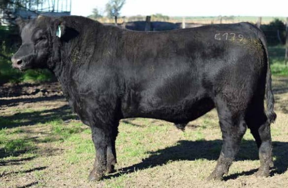 Lote CABAÑA "COEMBOTA" DE CALDERÓN RP 179