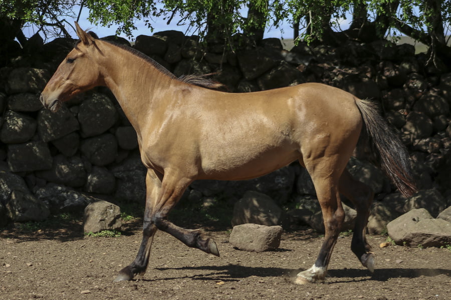 Lote AGUAS CLARAS OLIMPIA