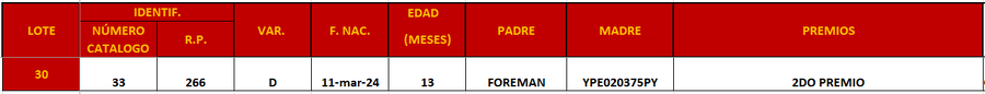 Lote LOTE 30