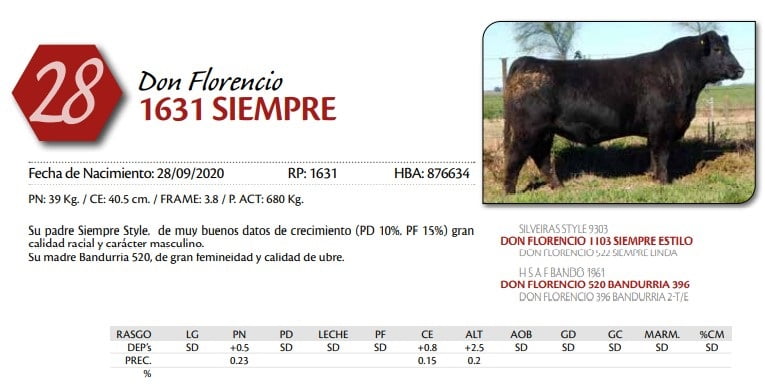 Lote TORO