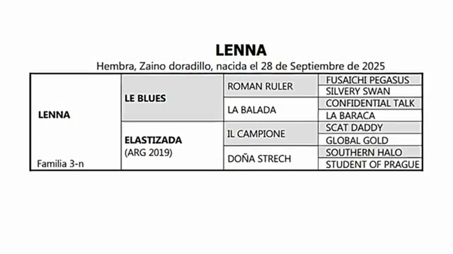 Lote LENNA